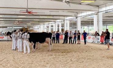 European Holstein Judges Workshop: l’aggiornamento tecnico dei Giudici europei fa tappa a Montichiari