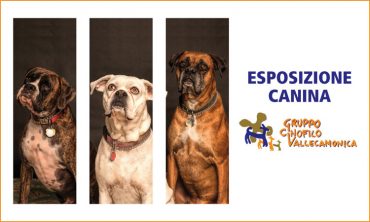 ESPOSIZIONE CANINA