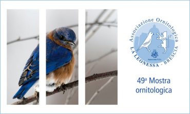 Mostra Ornitologica