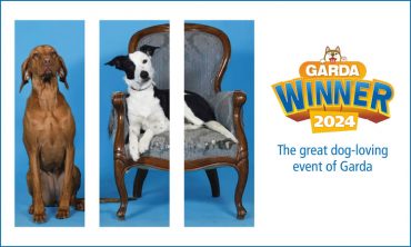 INTERNATIONAL DOG ​​SHOW “GARDA WINNER”