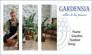 Gardensia
